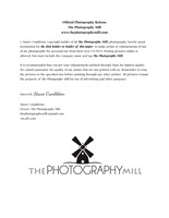 Untitled document