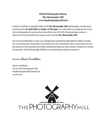 Untitled document